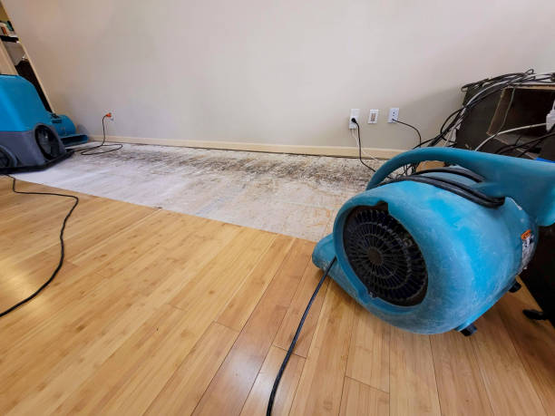 Professional Water Damage Repair technician working in Conneautville, PA